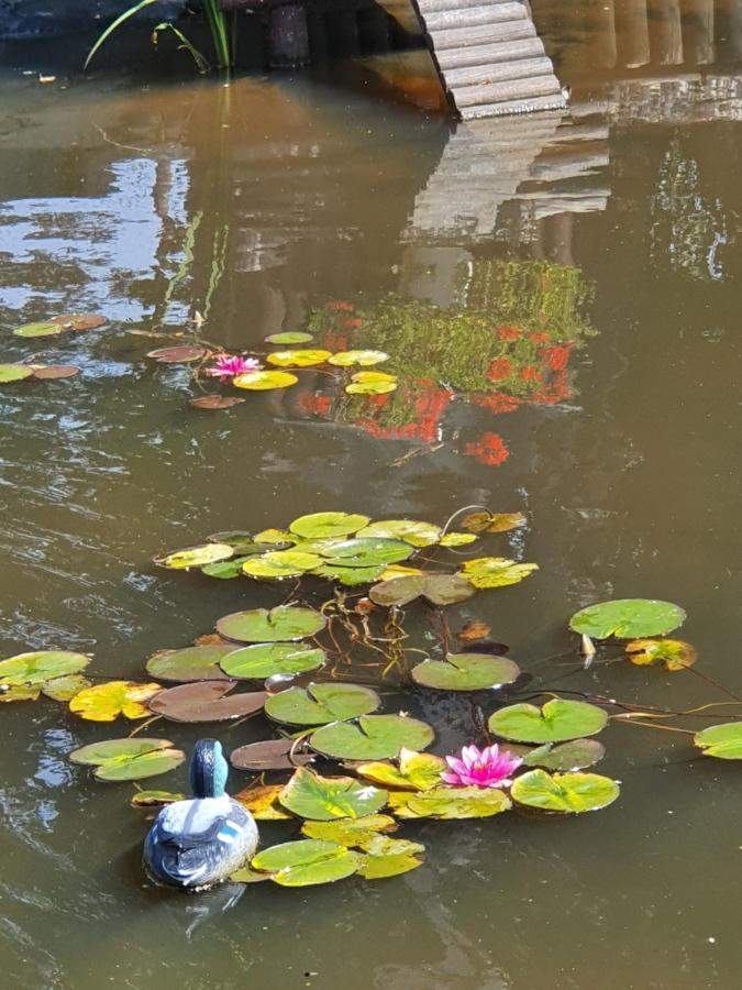 La Mare Aux Canards Sassetot-le-Mauconduit エクステリア 写真